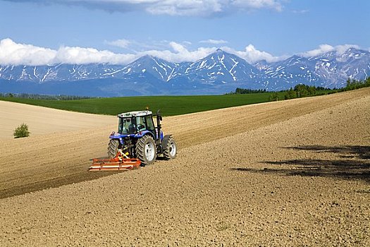 xổ số kiến thiết tỉnh cà mau