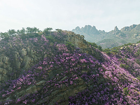 soi cau lo khung