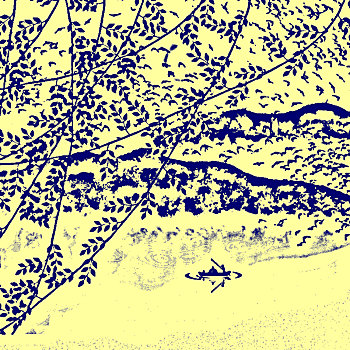 soi cau 668