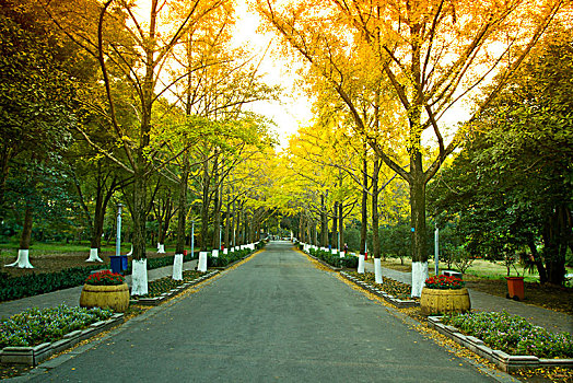 soi cầu 3 càng miễn phí
