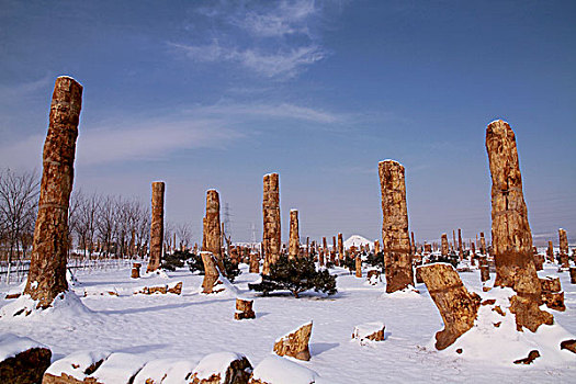 bach thu khung 3 ngay
