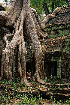 betwin2888 soi cầu