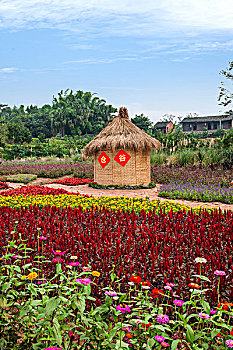xổ số hồ chí minh hôm nay