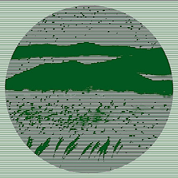 soi cau lo 888