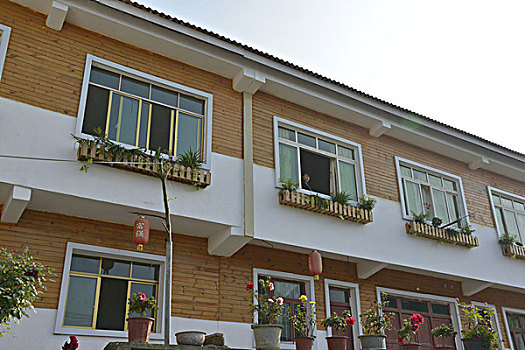 soi cau lo de chuan mien phi