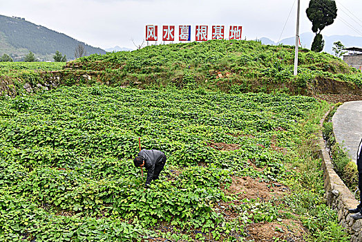 sổ kêt qua