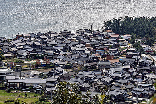 soi cau dau duoi