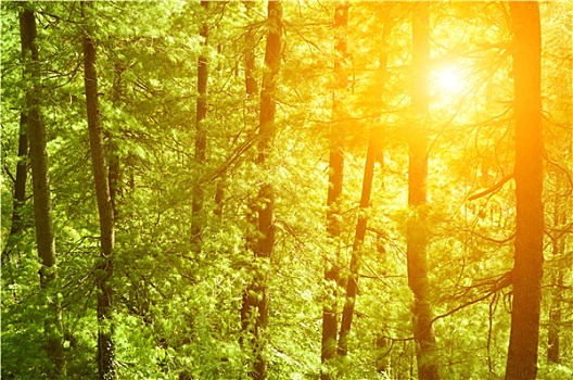 tỷ lệ lô đề miền bắc