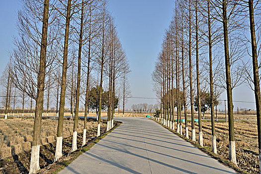 soi cau bach thu mien bac 247