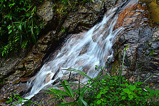 sốmienbac