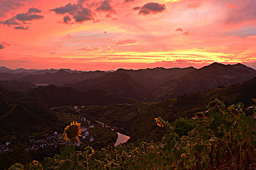 cầu lô hôm nay