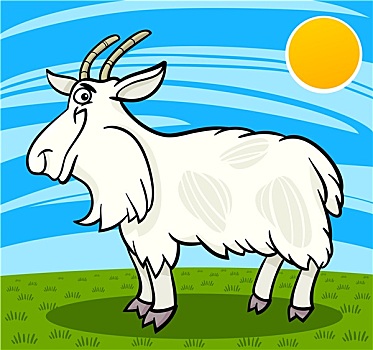 soi cầu miền nam miễn phí