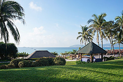 cầu bạch thủ bình định