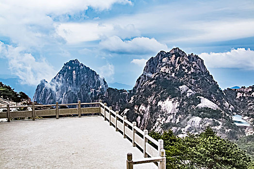 bạch kim lô đề