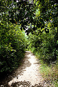 dự đoán