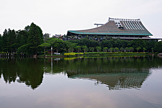 bạch thủ miền bắc