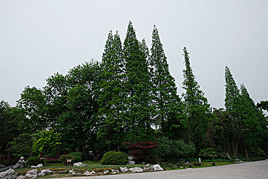 xổ số miền nam hôm qua hôm nay