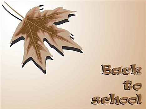 soi cầu bạch thủ miền bắc
