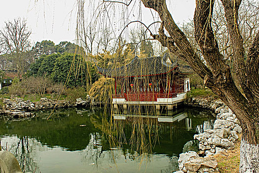 soi cau mien bắc