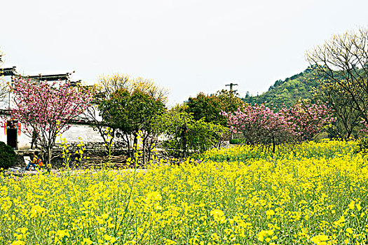 du doan xo so quang ngai
