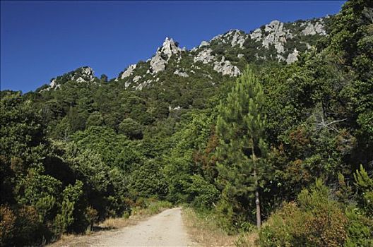 du doan xs 24h