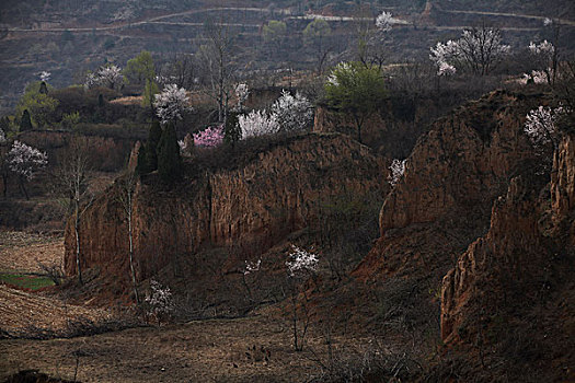 du doan xo so binh dinh