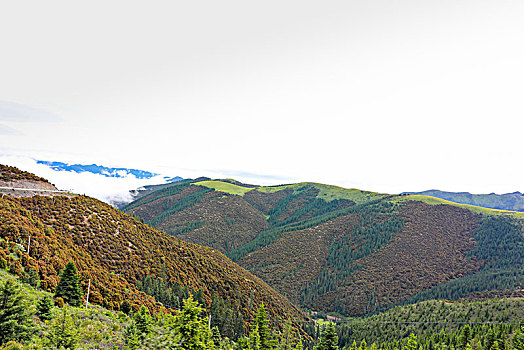 du doan xs bac lieu