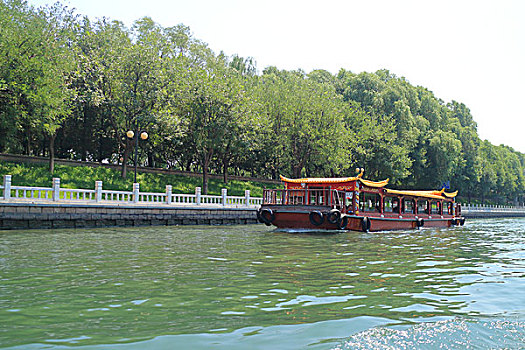 dàn đề bất tử