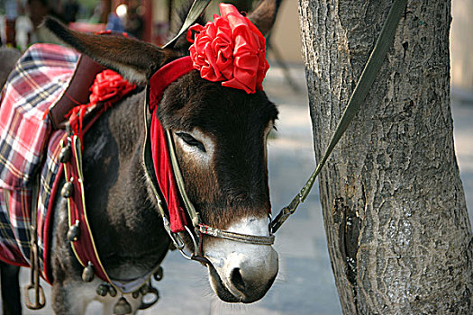xổ số ngày nay