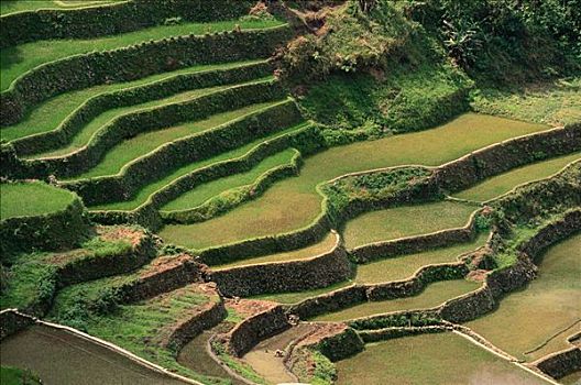 sổ kết quả 30 ngày