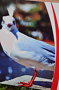 soi cầu thống kê