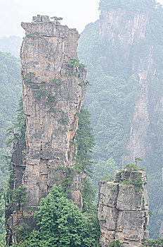 xs quang tri