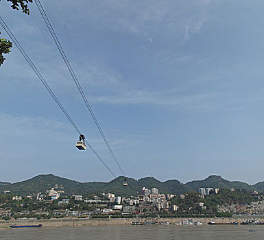 bạch thủ lô hôm nay
