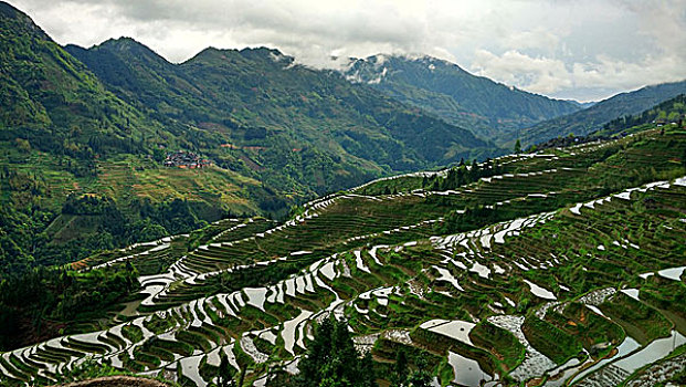 2888 soi cau