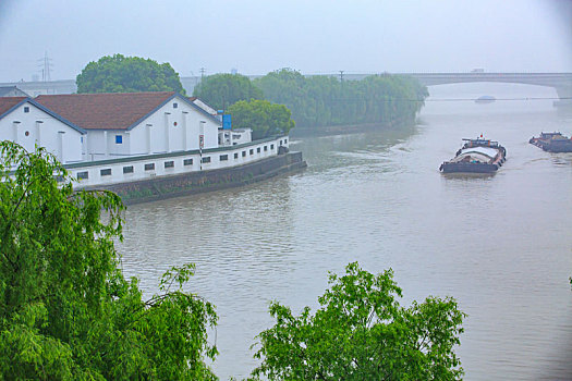 bạch thủ đề ngày mai