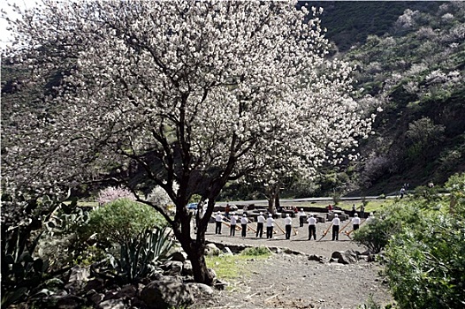 soi cau rong bach kim 247