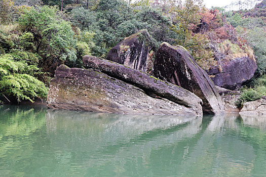 soi cau bach thu xsmb 888