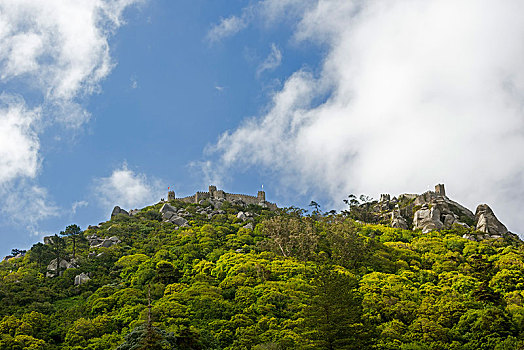 soi cau tai loc