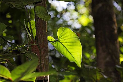 ﻿lô đề
