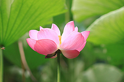 quả xổ số miền bắc ngày hôm nay