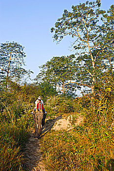 web danh lo de truc tuyen