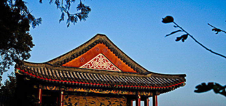 soi cau 2 nhay rong bach kim