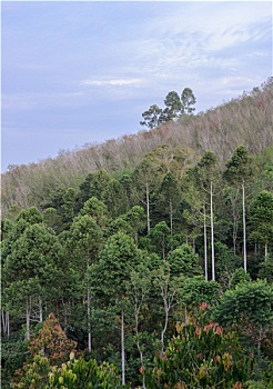 xs đong nai