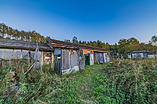 soi cau tuan