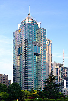 soi cau wap