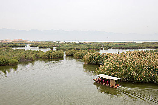 soi cầu bạch thủ hôm nay