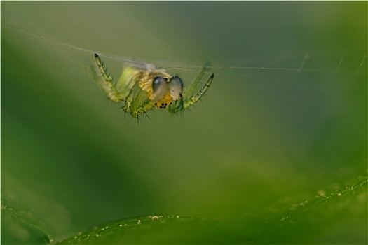 dự đoán mb