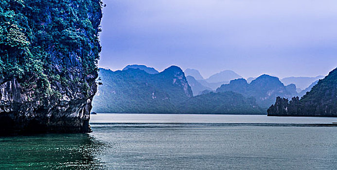 xs rong vang bach kim
