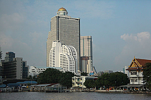 rong bach kim soi cau lo de