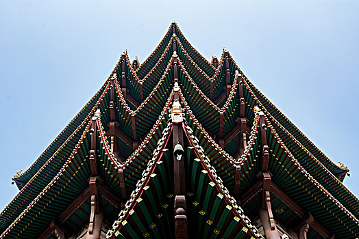 soi cau lo bach thu mien bac